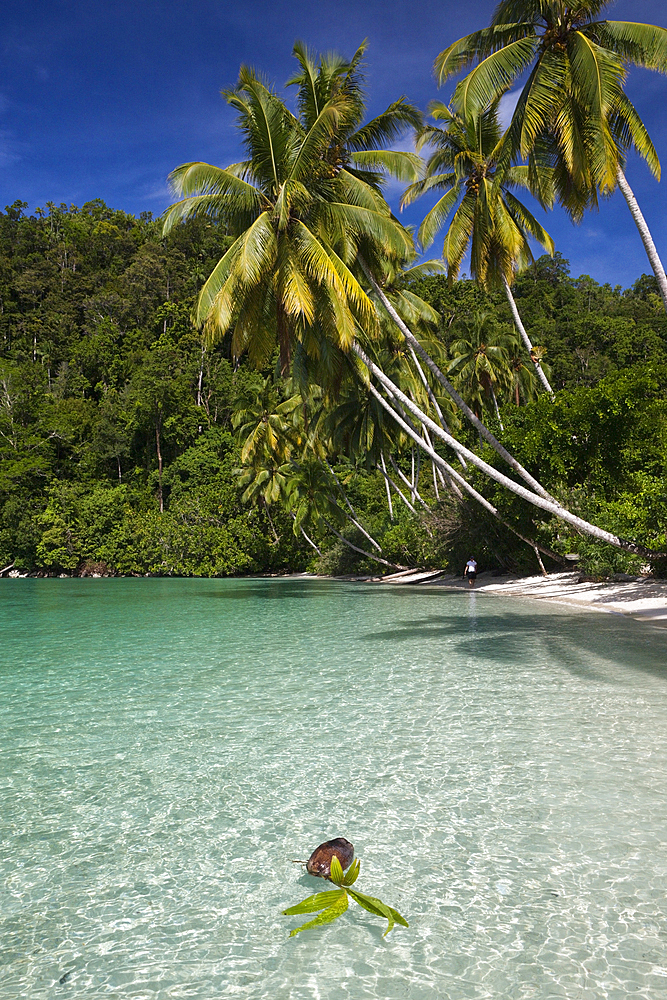 Tropical Island at Strait of Iris, Triton Bay, West Papua, Indonesia