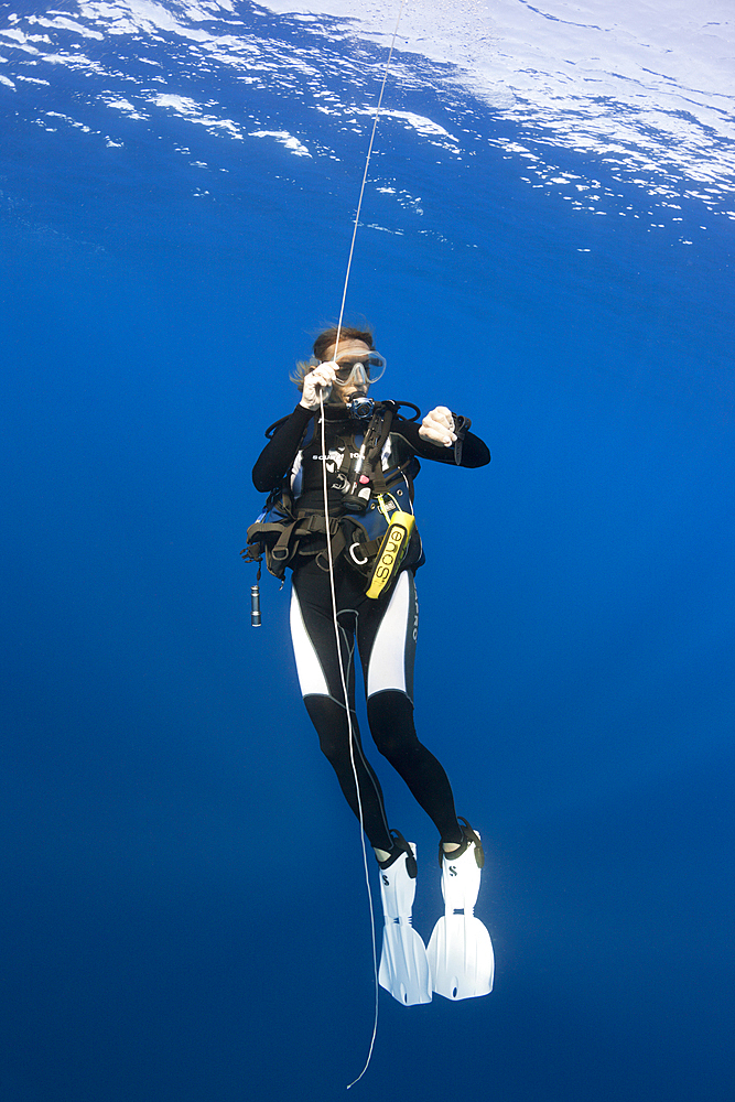 Diver doing Safety Stop, Kai Islands, Moluccas, Indonesia