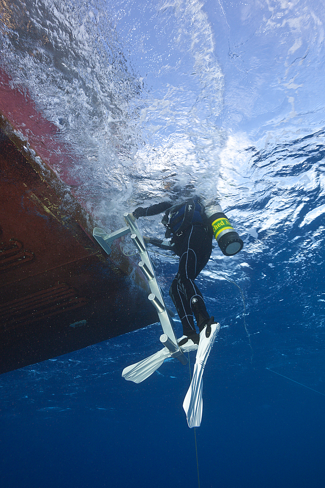 Scuba Diver climbing Boat, Great Barrier Reef, Australia