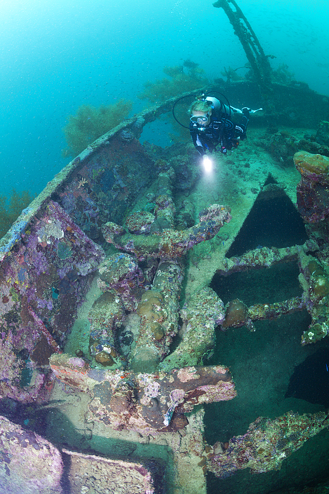 Diver at Japanese Wreck 2, Marovo Lagoon, Solomon Islands