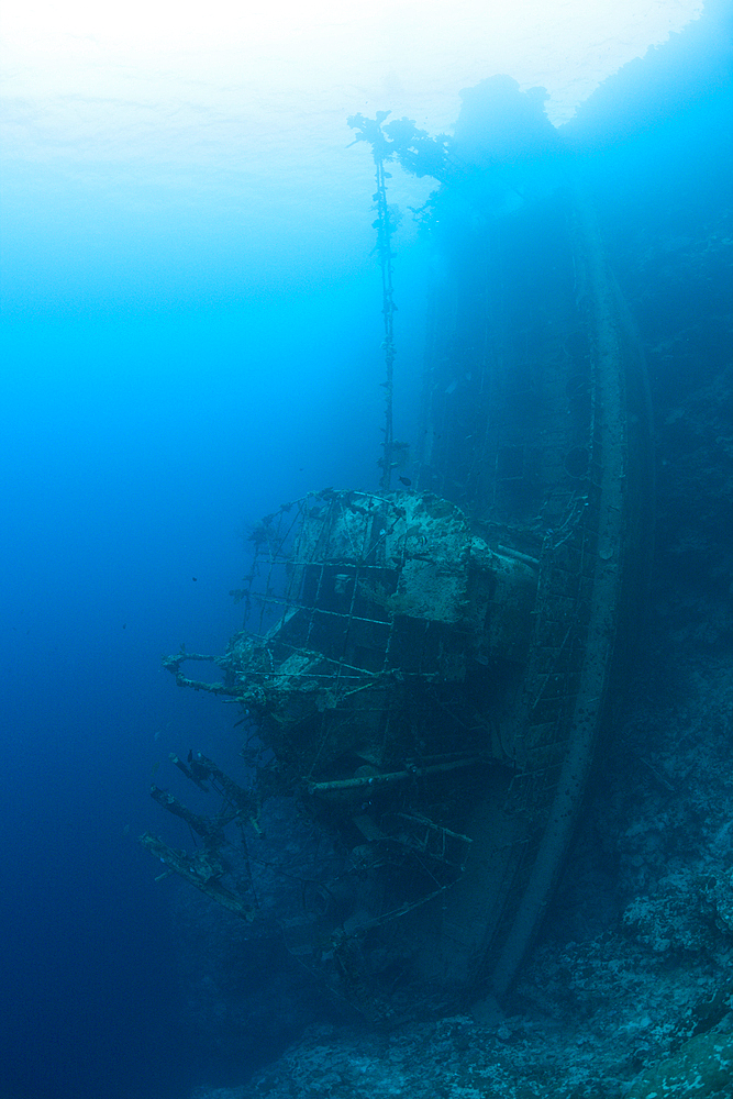 Upright Tuna Boat Wreck, Marovo Lagoon, Solomon Islands