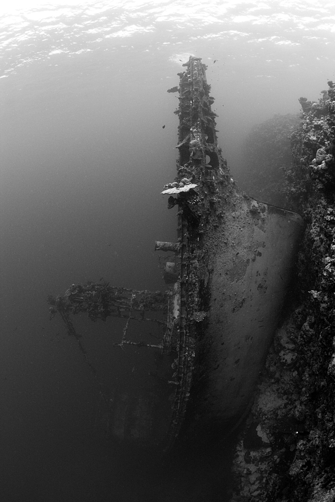 Upright Tuna Boat Wreck, Marovo Lagoon, Solomon Islands