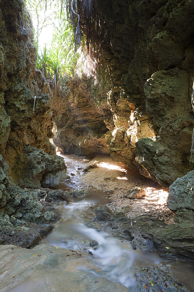 Andersons Dale Trail, Christmas Island, Australia