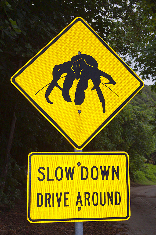 Driver Warning Sign on Road Side, Birgus latro, Christmas Island, Australia