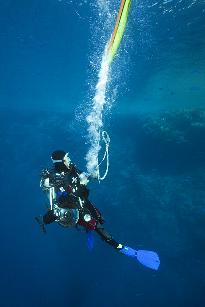 Scuba Diver inflates Surface marker Buoy, Brother Islands, Red Sea, Egypt