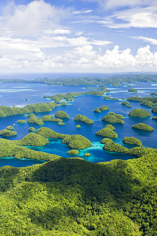 Rock Islands of Palau, Pacific, Micronesia, Palau