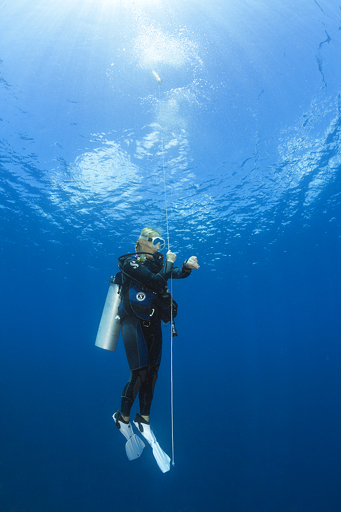 Scuba Diver doing safety stop, New Ireland, Papua New Guinea