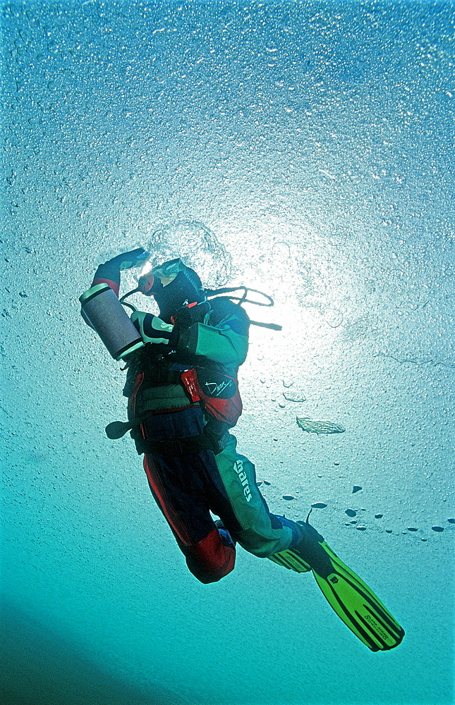 Ice diving, Scuba diver under ice, Austria, Tirol