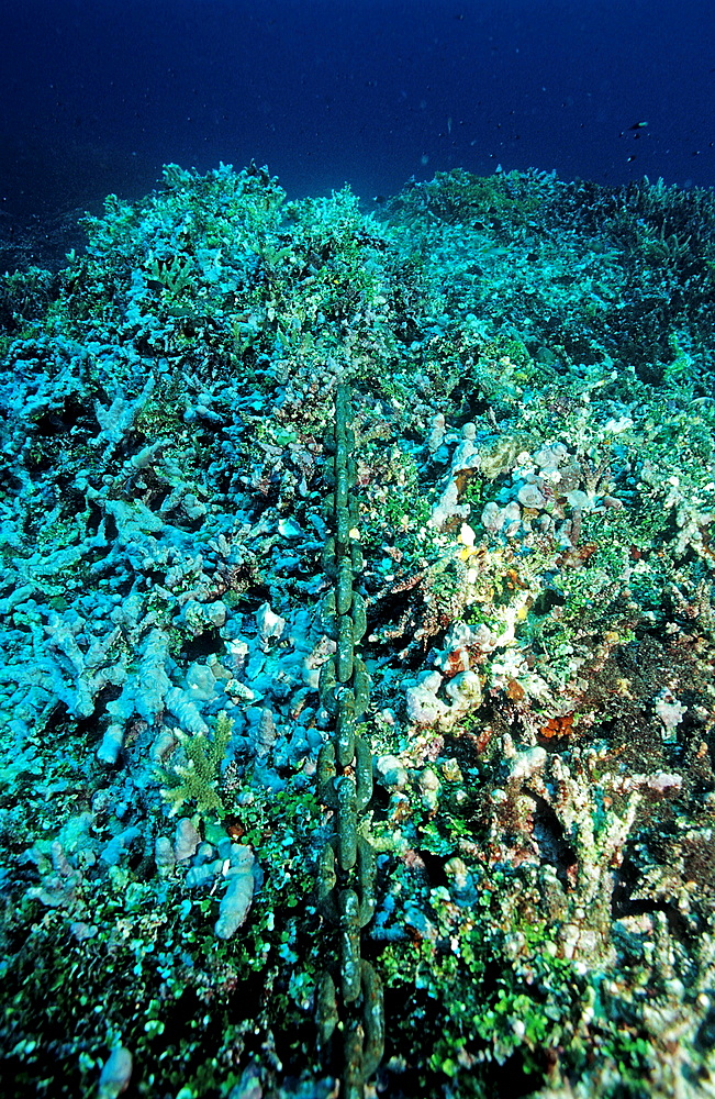 chain cable destroys coral reef, Papua New Guinea, Pacific Ocean