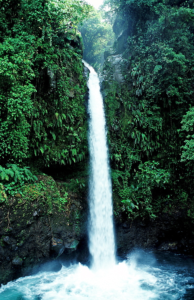 Waterfall, Costa Rica, South america, La Paz Waterfall Gardens