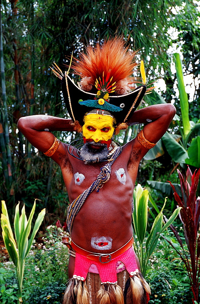 Huli wigman, Papua New Guinea, Tari, Huli, Highlands