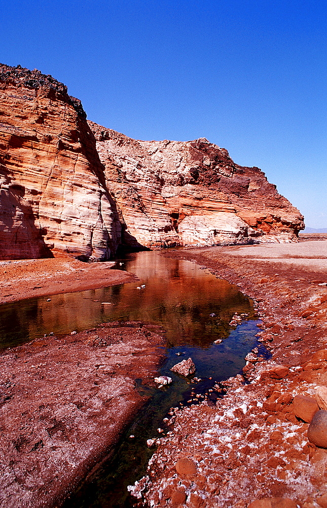 Volcanic spring beside Lac Assal, Lake Assal, Djibouti, Djibuti, Africa, Afar Triangle