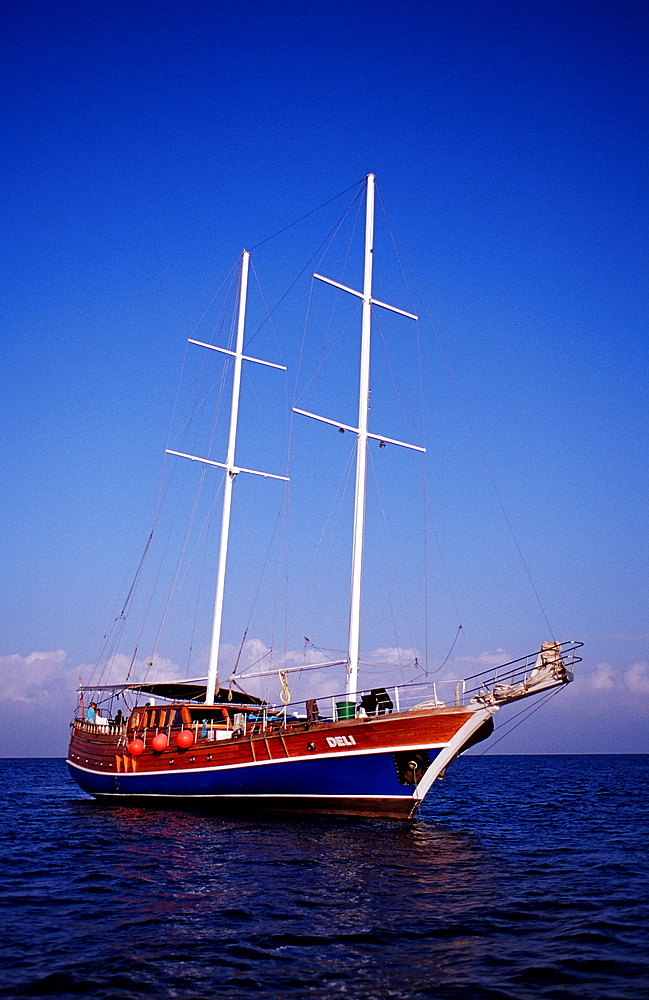 Liveaboard MV Deli, Djibouti, Djibuti, Africa, Afar Triangle, Gulf of Aden, Gulf of Tadjourah