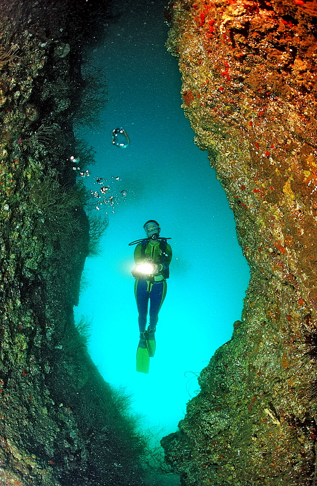 Scubadiver and tectonical rift, Djibouti, Djibuti, Africa, Afar Triangle, Gulf of Aden, Gulf of Tadjourah