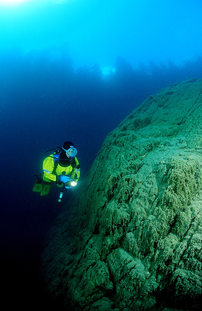 Scuba Diver in a mountain lake, Italy, Mountain Lake, Lago Di Fusine