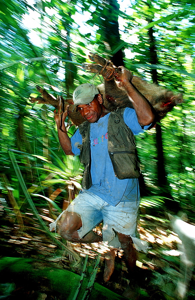 Native hunter with wild pig, Papua New Guinea, New Britain, Hoskins