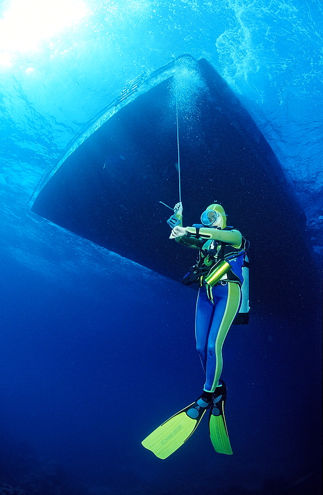 Scuba diver at safety stop, Sudan, Red Sea, Africa