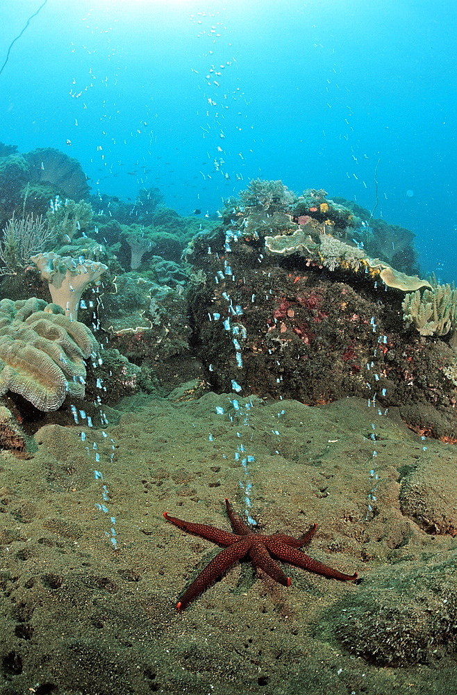 Volcanic gas bubbles, Volcano Island, Sangean, Indonesia, Southeast Asia, Asia