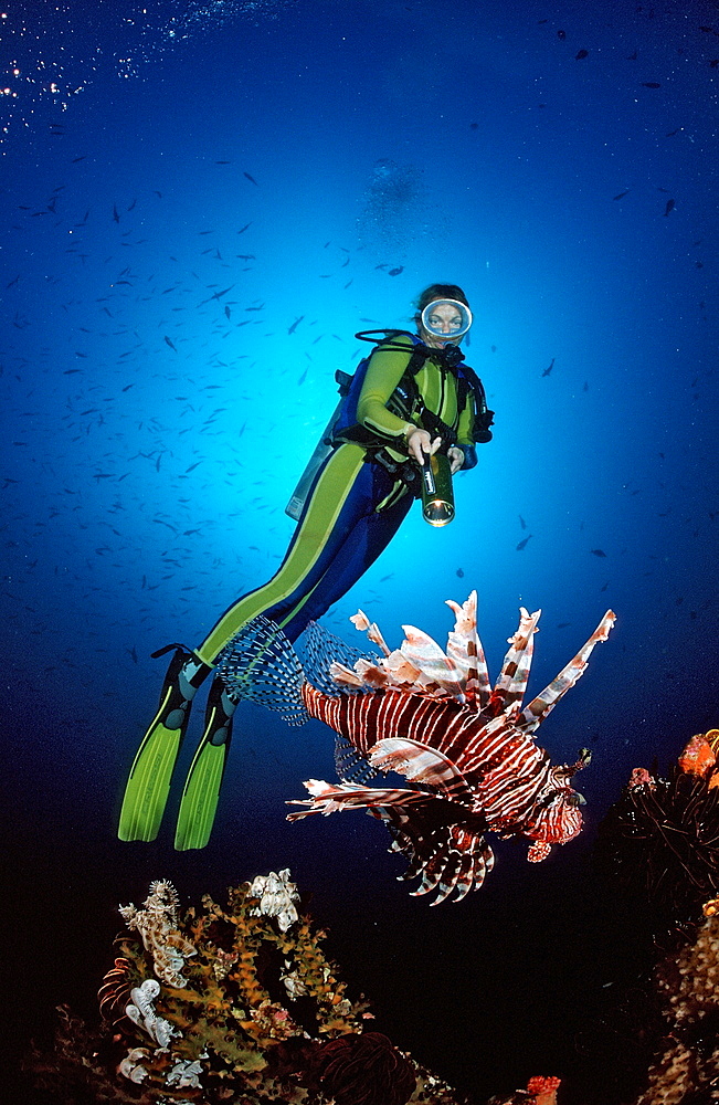 Scuba diver and lionfish (Pterois volitans), Bali, Tulamben, Indian Ocean, Indonesia, Southeast Asia, Asia