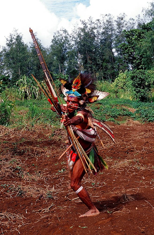 Huli wigman, archer, Tari, Huli, Highlands, Papua New Guinea, Pacific