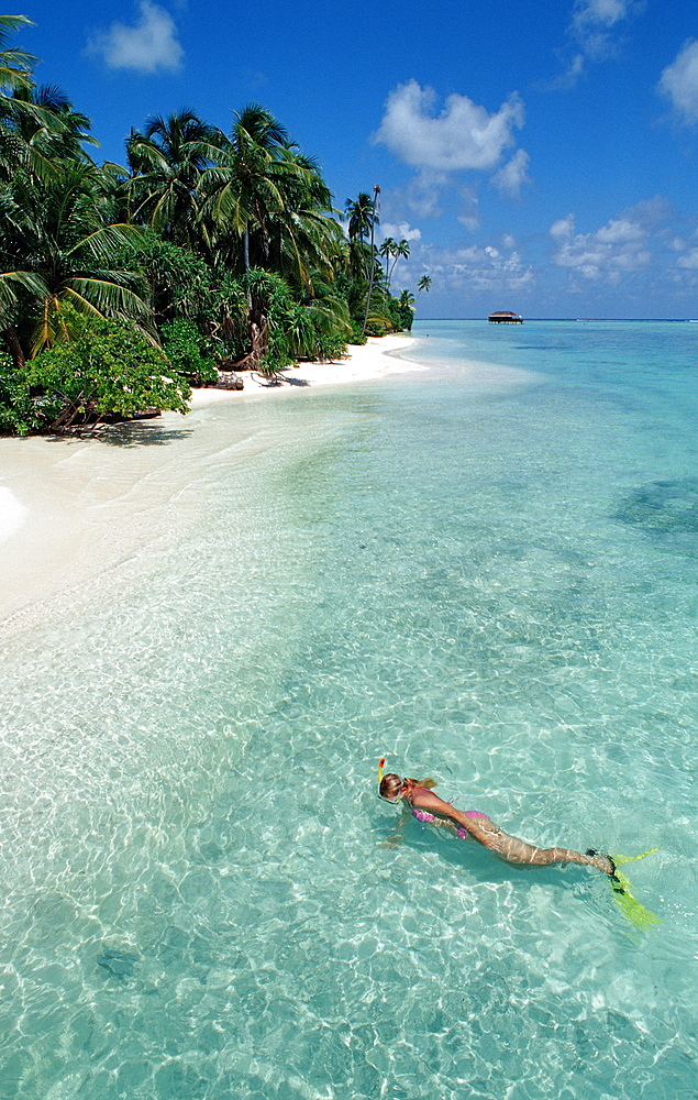 Snorkeler at Maldives, Maldives, Indian Ocean, Medhufushi, Meemu Atoll