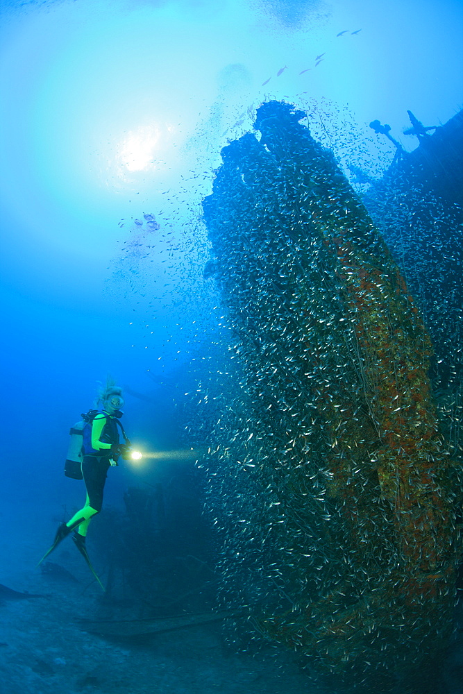 Diver at Torpedo Tubes at Destroyer USS Anderson, Marshall Islands, Bikini Atoll, Micronesia, Pacific Ocean