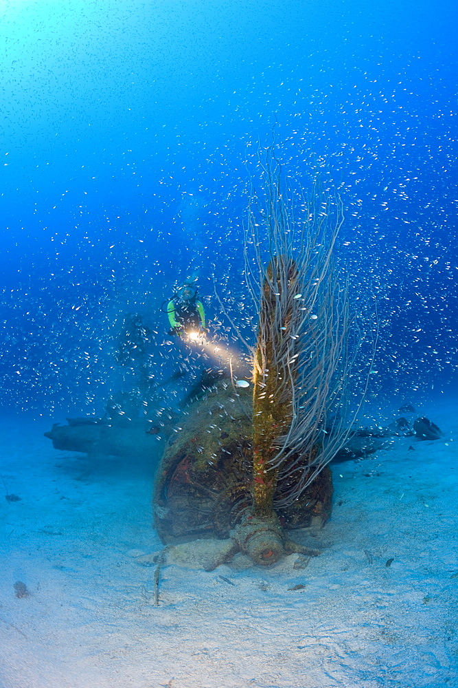 Diver and Propeller at Bomber near to USS Saratoga, Marshall Islands, Bikini Atoll, Micronesia, Pacific Ocean