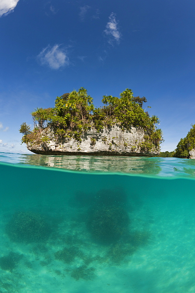Islands of Palau, Micronesia, Palau