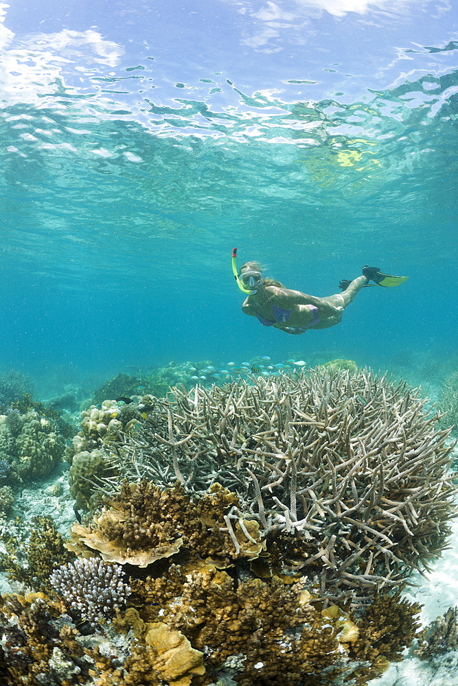 Skin Diving at Palau, Micronesia, Palau