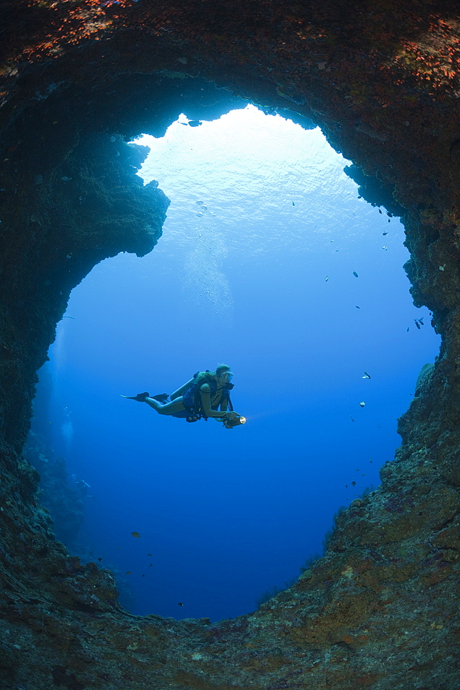 Diver in Blue Hole Cave, Micronesia, Palau