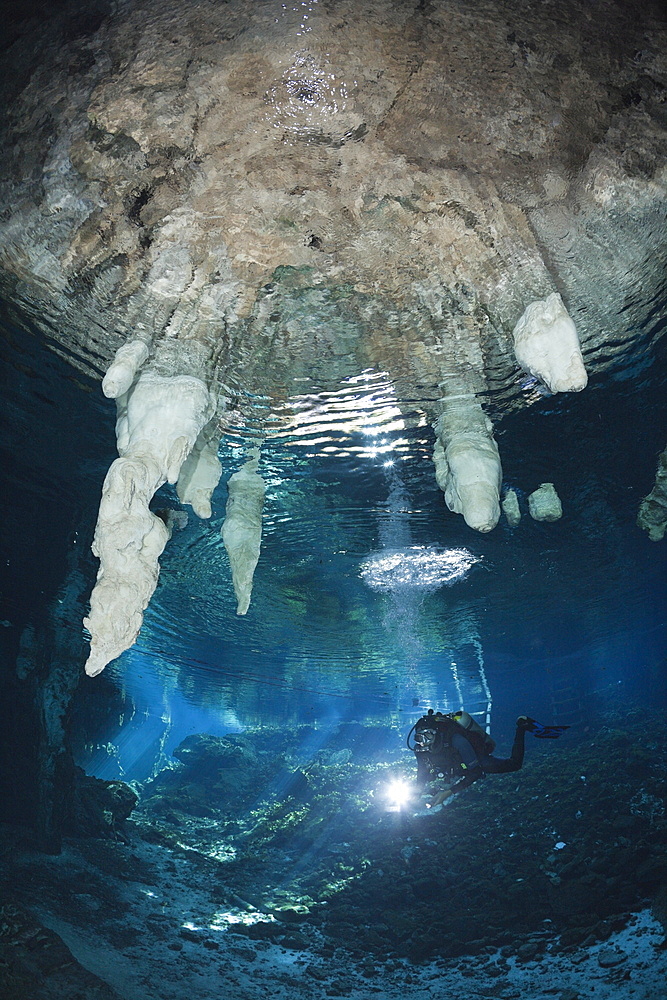 Scuba Diver in Gran Cenote, Tulum, Yucatan Peninsula, Mexico