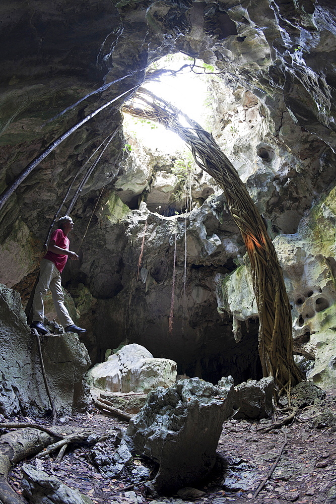 Tourist inside San Gabriel Limestone Cave, Los Haitises National Park, Dominican Republic, West Indies, Central America