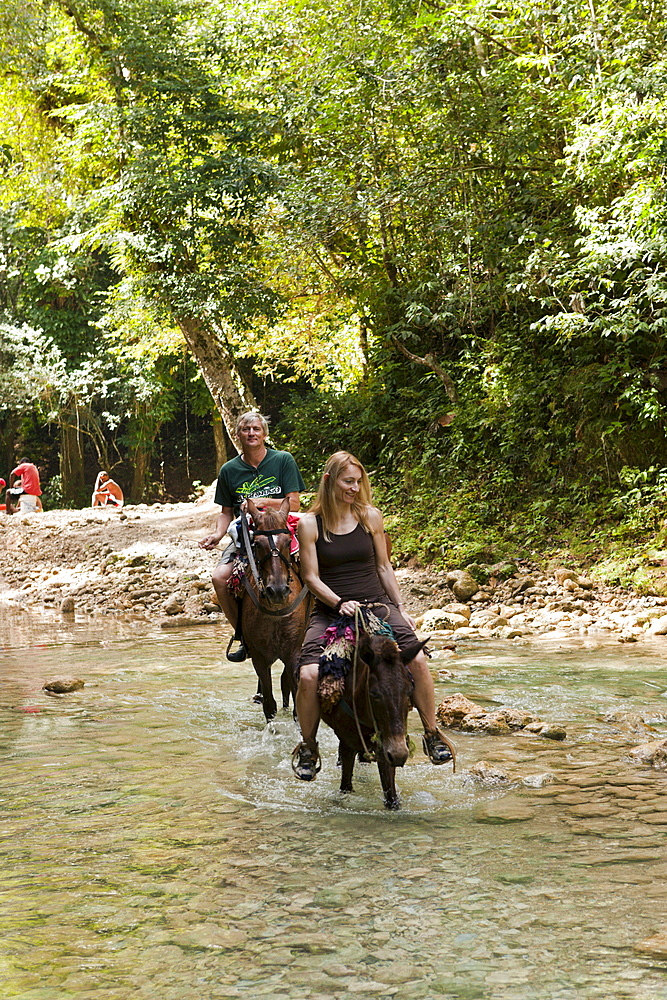 Horseback tour to the Waterfall Cascada El Limon, Las Terrenas, Samana Peninsula, Dominican Republic, West Indies, Central America