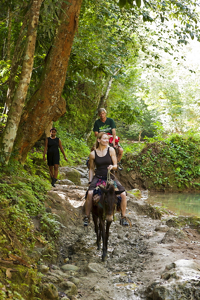 Horseback tour to the Waterfall Cascada El Limon, Las Terrenas, Samana Peninsula, Dominican Republic, West Indies, Central America