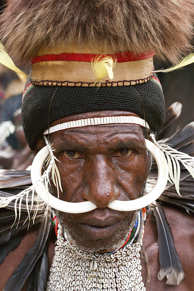 Warrior of Dani tribe, Baliem Valley, West Papua, Indonesia, Southeast Asia, Asia