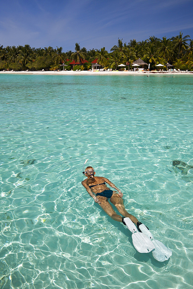 Snorkeling at Kurumba Island, North Male Atoll, Maldives, Indian Ocean, Asia