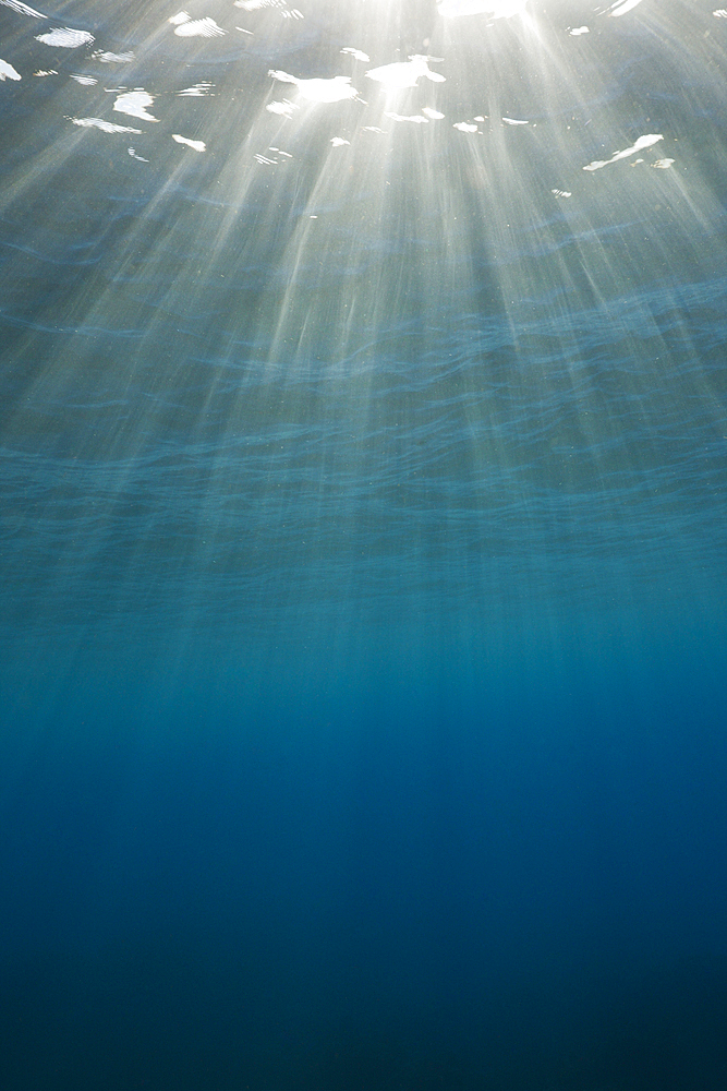 Sunbeams filtering through Water Surface, Caribbean Sea, Dominica