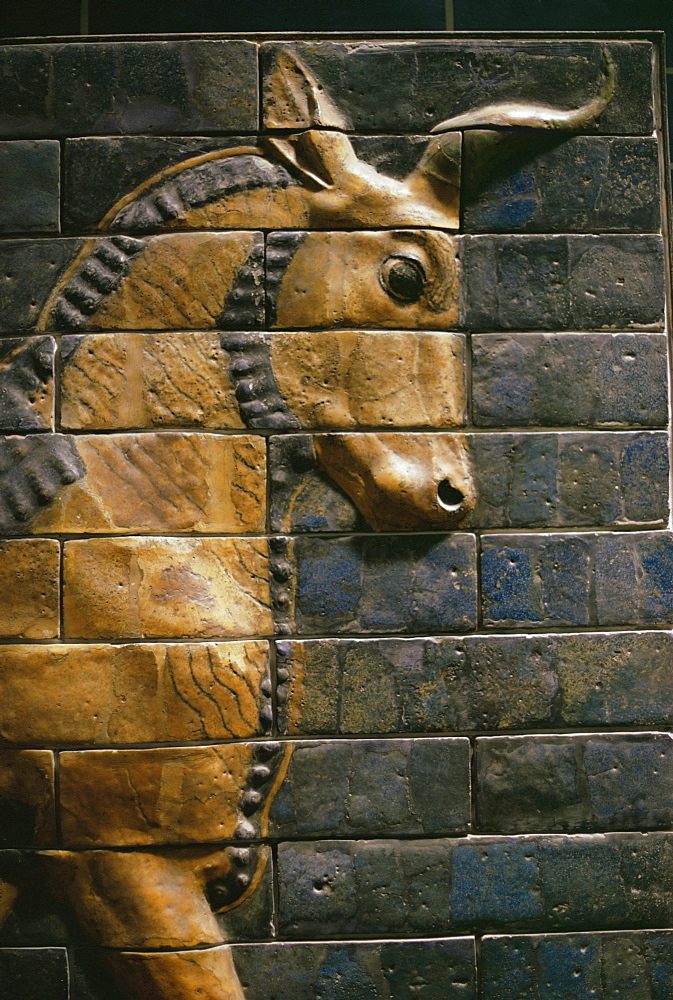 Babylonian wall tiles, Babylon, Iraq, Middle East