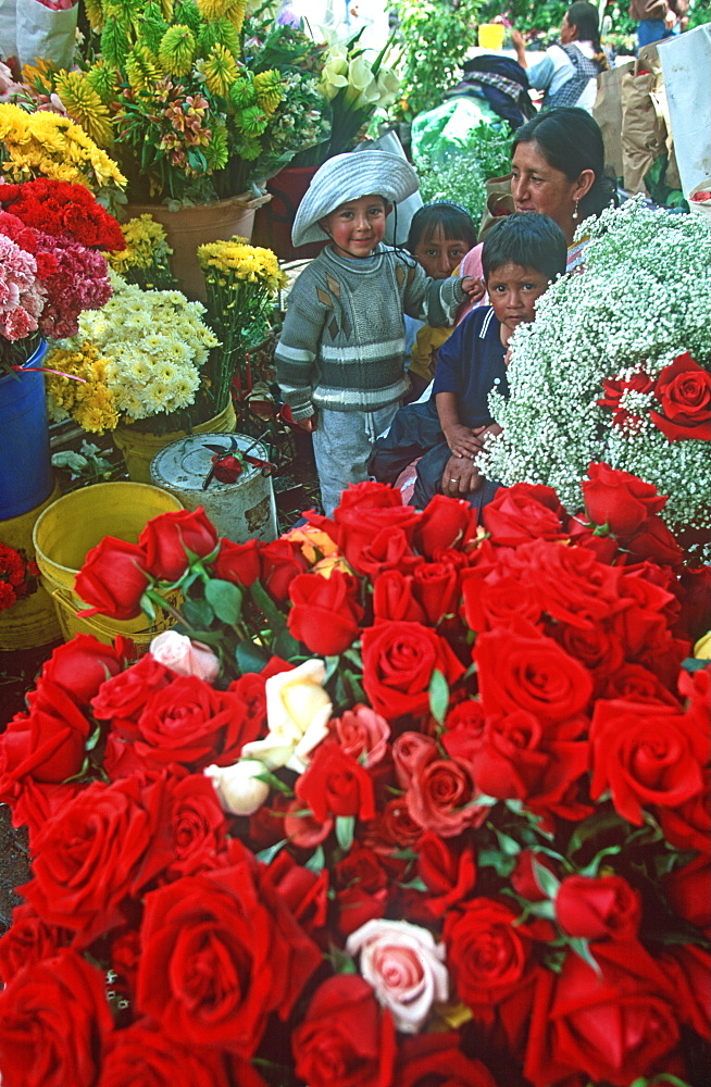 Cuenca World Heritage City & Ecuador's third largest city, famous for its colonial architecture main flower market off of Calderon Park, Highlands, Ecuador