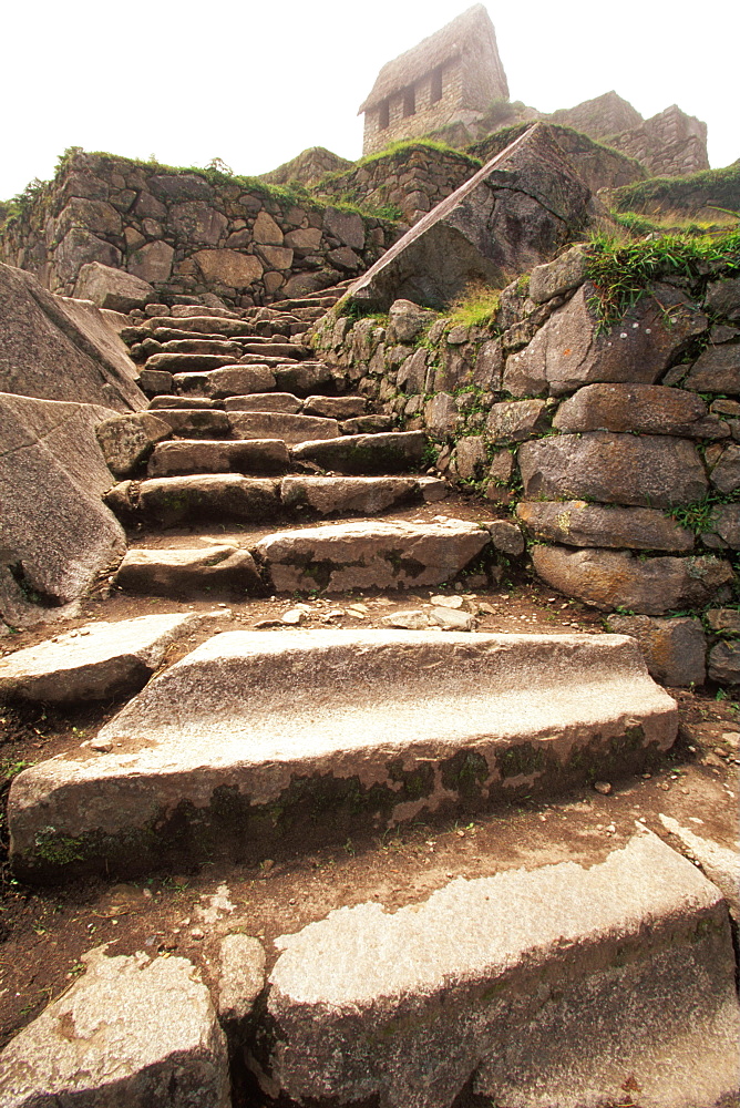 Machu Picchu Inca trail through terraced fields below the Hut of the Caretaker, above the city, Highlands, Peru