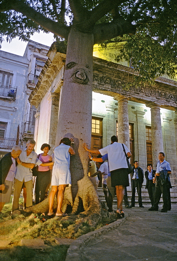 Citizens take turns circling a ceiba tree for 24 hours on November 15th to celebrate the founding of Havana in 1519 on this site, Cuba