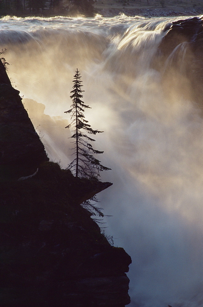 Athabasca Falls, Jasper National Park, UNESCO World Heritage Site, The Rockies, Alberta, Canada, North America