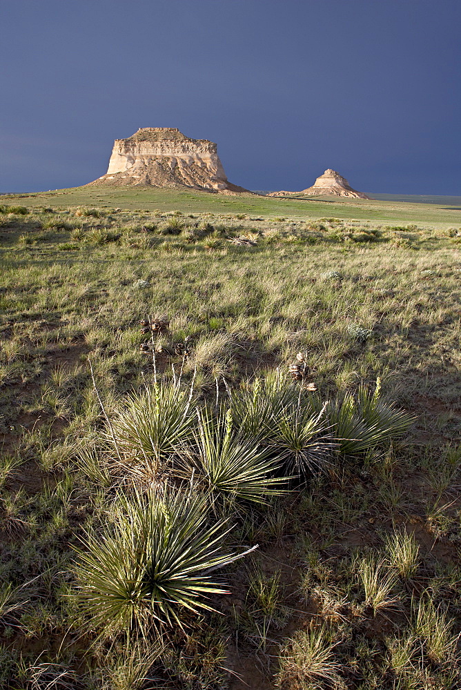 Pawnee Buttes, Pawnee National Grassland, Colorado, United States of America, North America