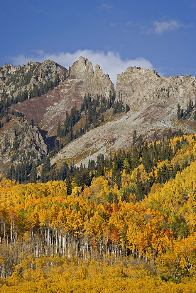 The Dyke with the fall colours, Grand Mesa-Uncompahgre-Gunnison National Forest, Colorado, United States of America, North America