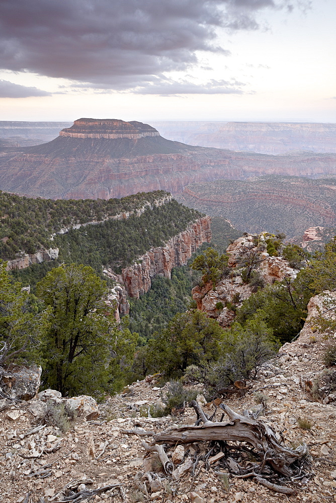 Steamboat Mountain at dawn from Fence Point, North Rim, Grand Canyon, Kaibab National Forest, Arizona, United States of America, North America