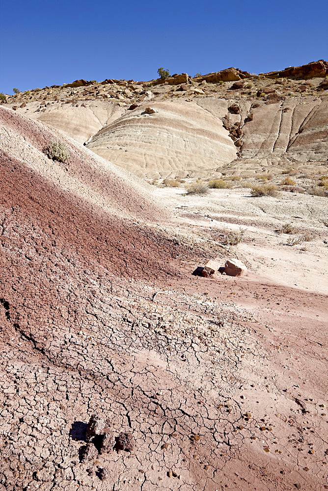 Badlands with maroon color, Capitol Reef National Park, Utah, United States of America, North America