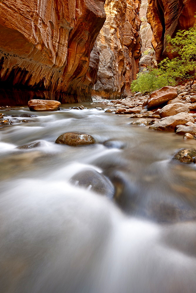 Cascade in The Narrows of the Virgin River, Zion National Park, Utah, United States of America, North America