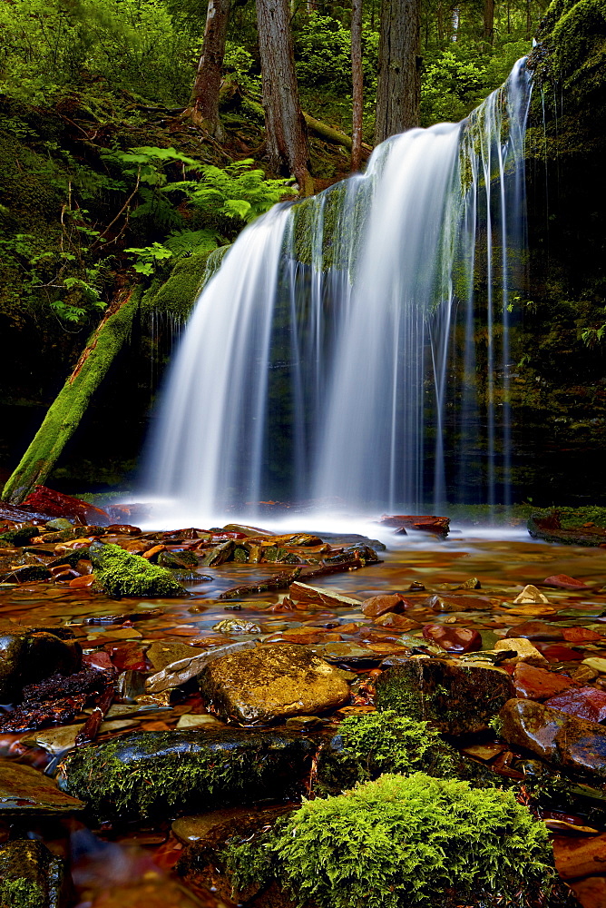 Fern Falls, Coeur d'Alene National Forest, Idaho Panhandle National Forests, Idaho, United States of America, North America