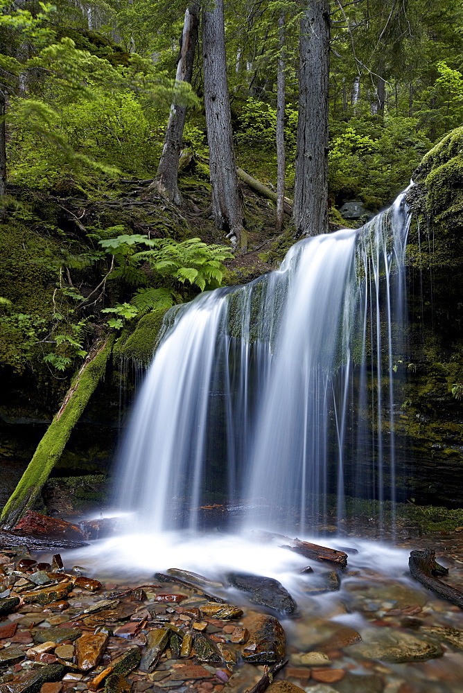 Fern Falls, Coeur d'Alene National Forest, Idaho Panhandle National Forests, Idaho, United States of America, North America