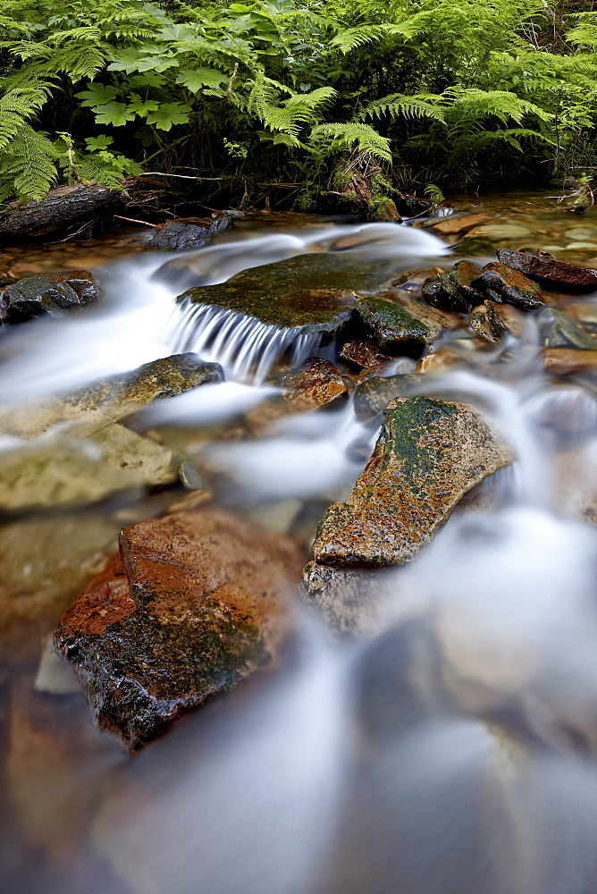 Cascades on Yellow Dog Creek, Coeur d'Alene National Forest, Idaho Panhandle National Forests, Idaho, United States of America, North America